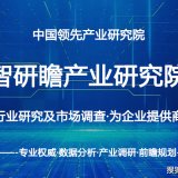 中国塑料制品行业供需趋势及投资风险研究报告