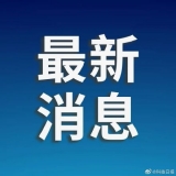 陕西发现仿栗分布区北缘规模最大野生种群