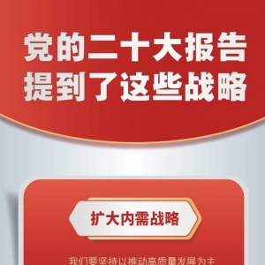 党的二十大报告，提到了这些战略！