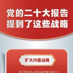 党的二十大报告，提到这些战略