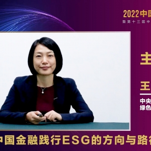 中央财经大学王遥：构建与国际接轨兼具中国特色的指标体系，引导各方合力推 ...