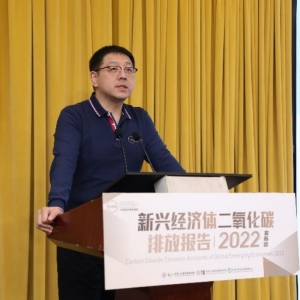 聚焦新兴经济体碳排放，清华大学教授领衔国际团队发布报告 ...