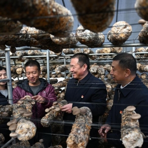 二十大代表在基层丨顾瑞利：当好乡村振兴“领头雁” ...