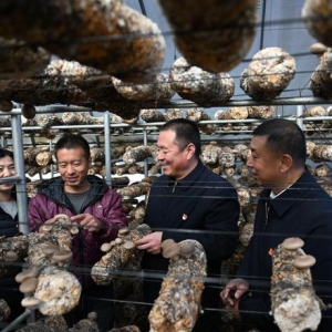 二十大代表在基层丨顾瑞利：当好乡村振兴“领头雁” ...