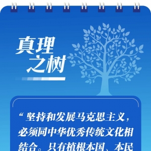 学习二十大报告，读懂这些词语的深意