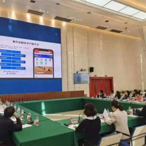 重庆金融助力农村致富带头人行动计划启动