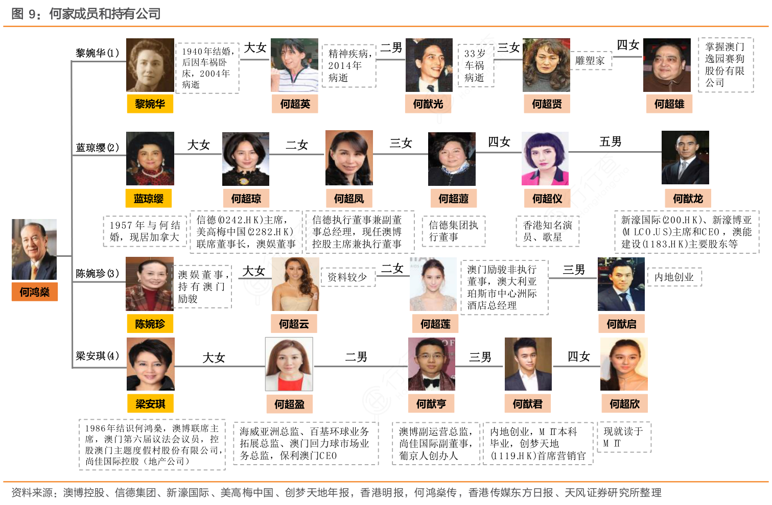 何家成员和持有公司