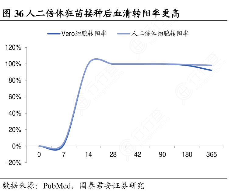 人二倍体狂苗接种后血清转阳率更高