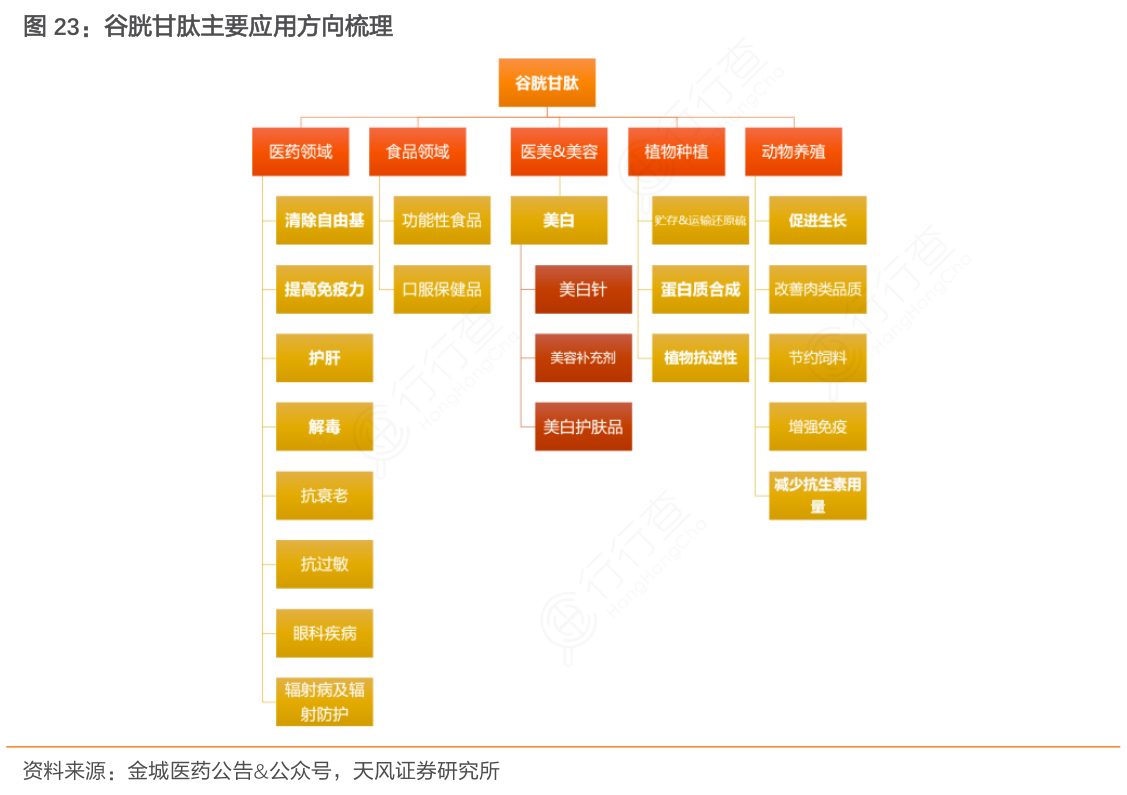 谷胱甘肽主要应用方向梳理