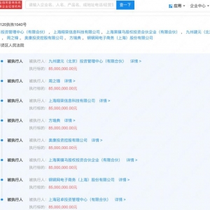 任泉王京花合伙公司被执行 8500 万