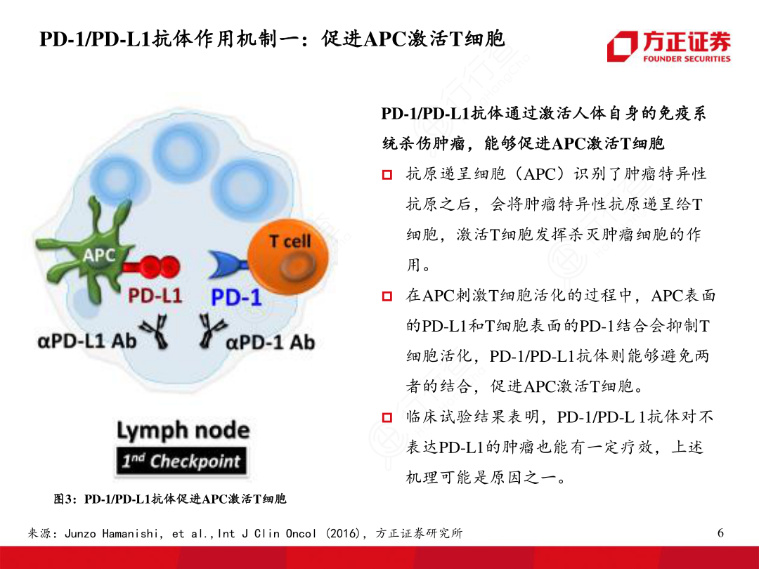 抗体作用机制一：促进_激活_细胞_PD-1：PD-L1