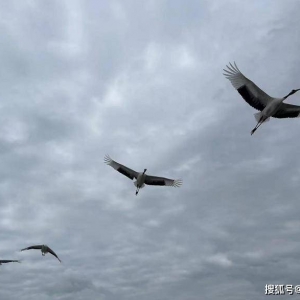 犀牛早讯：12月份以来超百只信用债取消发行 央行再启14天期逆回购 ...