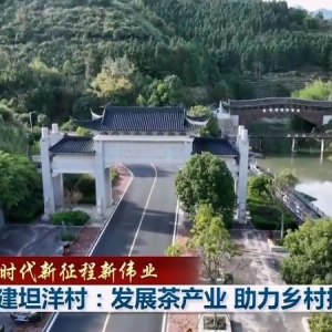 福建坦洋村：发展茶产业 助力乡村振兴