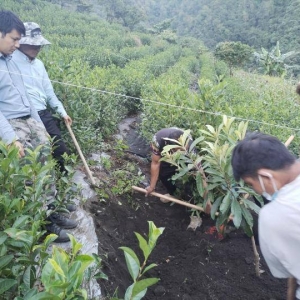 新时代新征程新伟业·二十大精神在基层|西藏墨脱：厚植绿色根基 描绘振兴“ ...