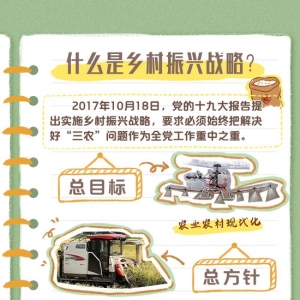 二十大报告学习笔记丨乡村振兴篇