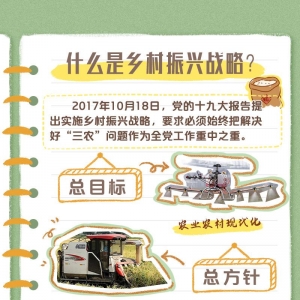 二十大报告学习笔记丨乡村振兴篇