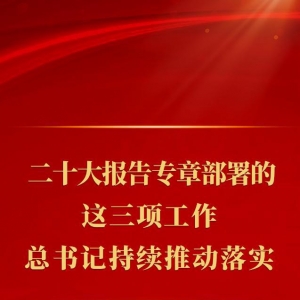 第一观察 | 二十大报告专章部署的这三项工作，总书记持续推动落实 ...
