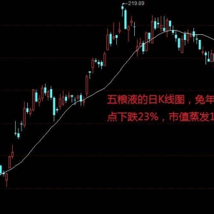 A股：“盘子洗得干干净净”，五粮液自高点下跌23%，股民人数大幅减少 ...