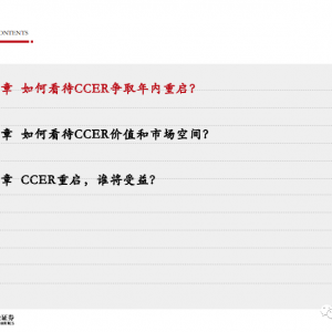 CCER深度分析报告（2023）