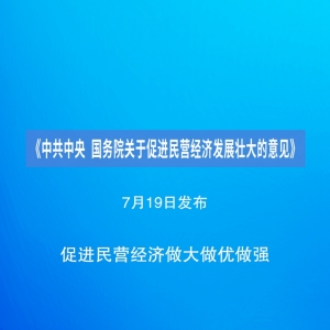 【重磅】中共中央国务院关于促进民营经济发展壮大的意见（附全网最全解读） ...