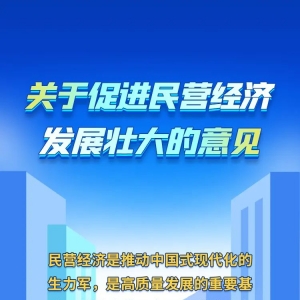 《中共中央 国务院关于促进民营经济发展壮大的意见》权威答问来了！ ...
