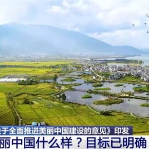 中共中央 国务院关于全面推进美丽中国建设的意见