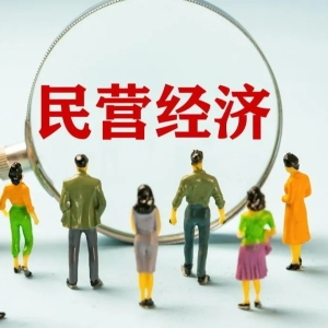 国家发改委：加快推进民营经济促进法立法进程