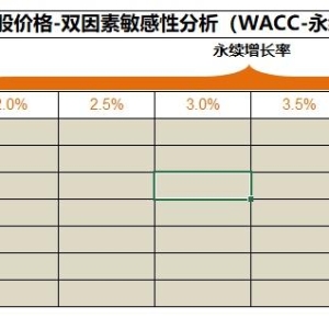 估值建模中的敏感性分析