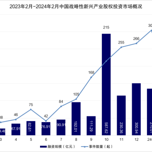 中国战略性新兴产业分析报告（第四十期）
